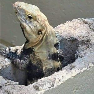 Meet your Posher, Juan